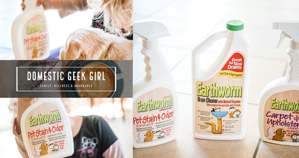 Domestic Geek Girl Review