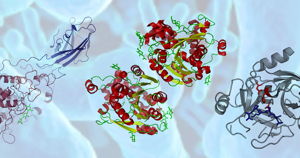 Septic System Enzymes